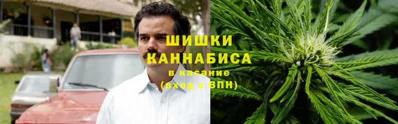 Конопля OG Kush  Валуйки 